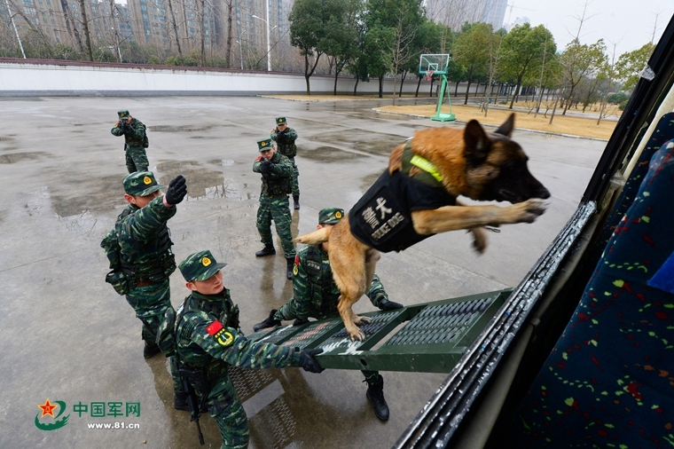 血腥真实不惧尺度，甄子丹早期5部动作电影推荐，值得收藏 