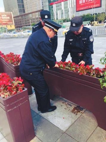 沈阳北站广场增设花箱破解“乱穿行”难题  